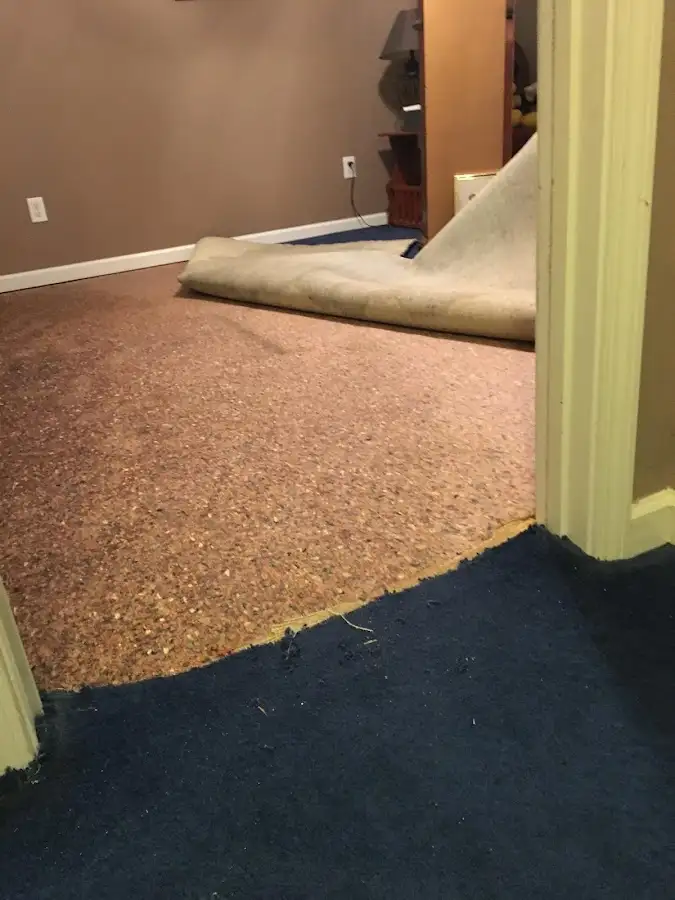 Carpet pad removal revealing water damage during Drying & Dehumidification in North Castle