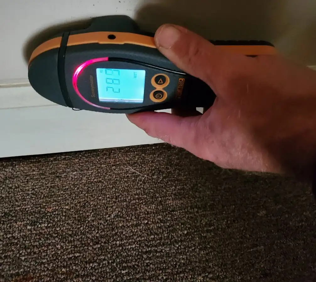 Moisture detection at baseboard during Sewage Cleanup & Sanitation in North Castle